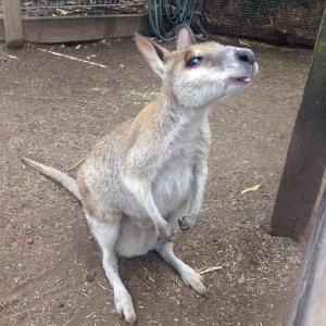 1507170_998594950157730_8846149731952508392_n